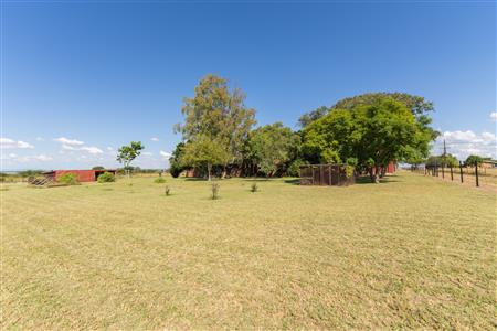 Farm For Sale in Pilgrimshoop AH, Polokwane, Limpopo - M127041