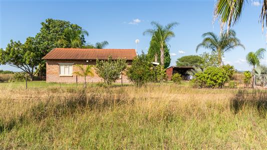 Farm For Sale in Pilgrimshoop AH, Polokwane, Limpopo - M127041