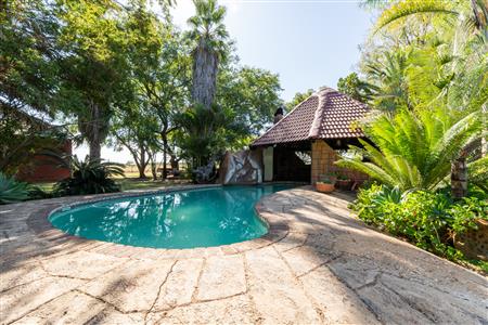 Farm For Sale in Pilgrimshoop AH, Polokwane, Limpopo - M127041