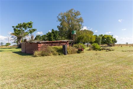 Farm For Sale in Pilgrimshoop AH, Polokwane, Limpopo - M127041