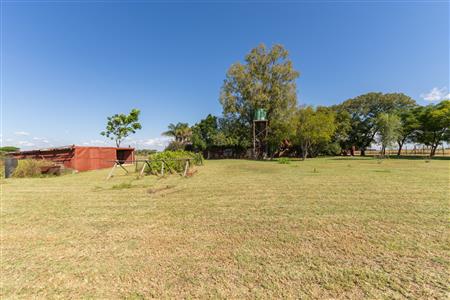 Farm For Sale in Pilgrimshoop AH, Polokwane, Limpopo - M127041