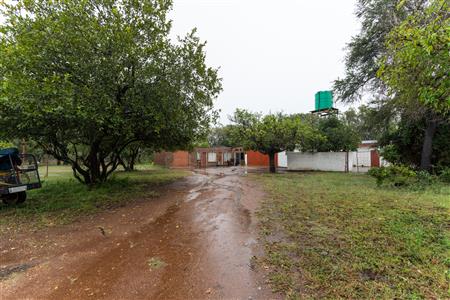 Farm For Sale in Polokwane Rural, Polokwane, Limpopo - M127058