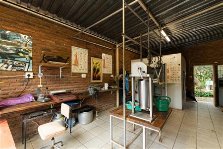 Farm For Sale in Polokwane Rural, Polokwane, Limpopo - M127058