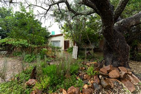 Farm For Sale in Polokwane Rural, Polokwane, Limpopo - M127058