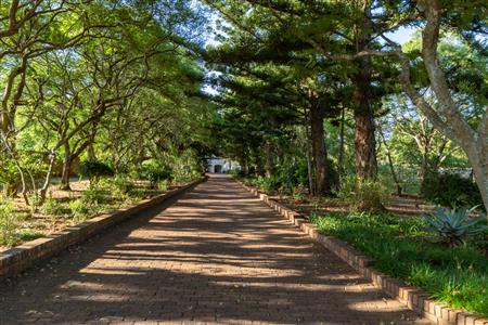 Farm For Sale in Dalmada AH, Polokwane, Limpopo - M127083