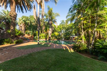 Farm For Sale in Dalmada AH, Polokwane, Limpopo - M127083