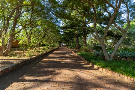 Farm For Sale in Dalmada AH, Polokwane, Limpopo - M127083