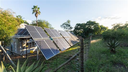 Farm For Sale in Dalmada AH, Polokwane, Limpopo - M127083