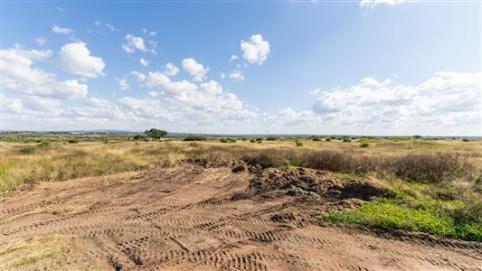 Farm For Sale in Pilgrimshoop AH, Polokwane, Limpopo - M127097