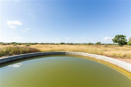 Farm For Sale in Pilgrimshoop AH, Polokwane, Limpopo - M127097