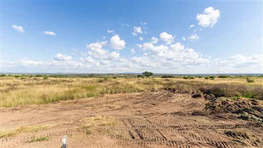 Farm For Sale in Pilgrimshoop AH, Polokwane, Limpopo - M127097