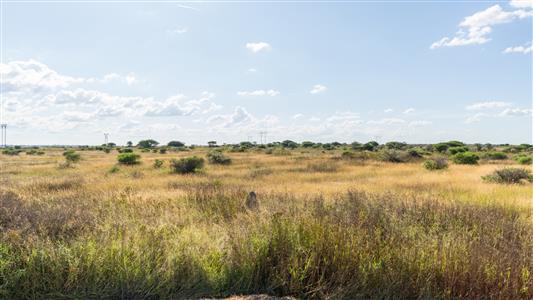 Farm For Sale in Pilgrimshoop AH, Polokwane, Limpopo - M127097