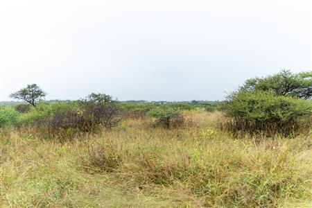 False - Farm For Sale in Tweefontein AH, Polokwane, Limpopo - M127145