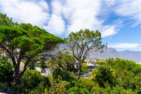 False - Apartment For Sale in Camps Bay, Cape Town, Western Cape - M126552