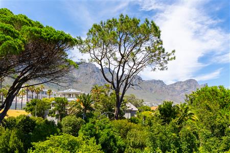 False - Apartment For Sale in Camps Bay, Cape Town, Western Cape - M126552