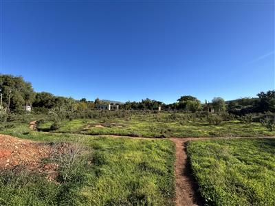 Vacant Land For Sale in McGregor, Western Cape - M127204