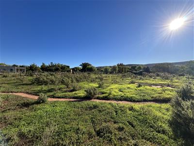 Vacant Land For Sale in McGregor, Western Cape - M127204