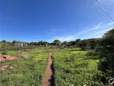 Vacant Land For Sale in McGregor, Western Cape - M127204
