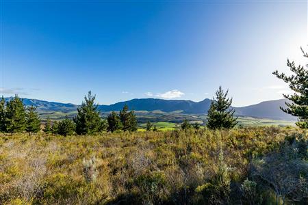 False - Vacant Land For Sale in Riversdale Rural, Riversdale, Western Cape - M121099