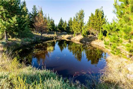 False - Vacant Land For Sale in Riversdale Rural, Riversdale, Western Cape - M121099
