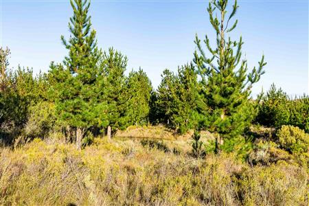 False - Vacant Land For Sale in Riversdale Rural, Riversdale, Western Cape - M121099