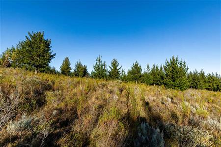 False - Vacant Land For Sale in Riversdale Rural, Riversdale, Western Cape - M121099