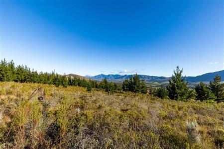 False - Vacant Land For Sale in Riversdale Rural, Riversdale, Western Cape - M121099