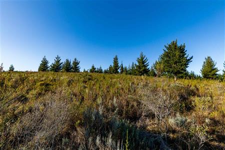 False - Vacant Land For Sale in Riversdale Rural, Riversdale, Western Cape - M121099