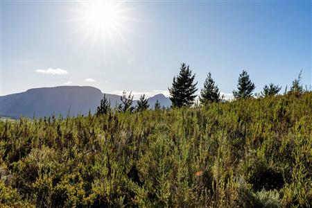 False - Vacant Land For Sale in Riversdale Rural, Riversdale, Western Cape - M121099