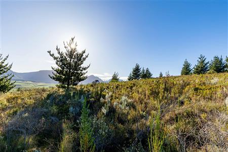 False - Vacant Land For Sale in Riversdale Rural, Riversdale, Western Cape - M121099
