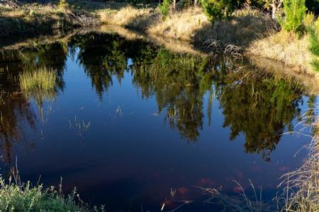 False - Vacant Land For Sale in Riversdale Rural, Riversdale, Western Cape - M121099