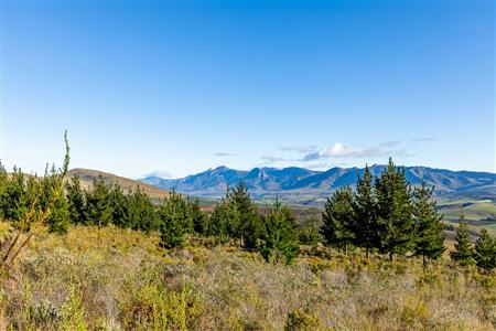 False - Vacant Land For Sale in Riversdale Rural, Riversdale, Western Cape - M121099