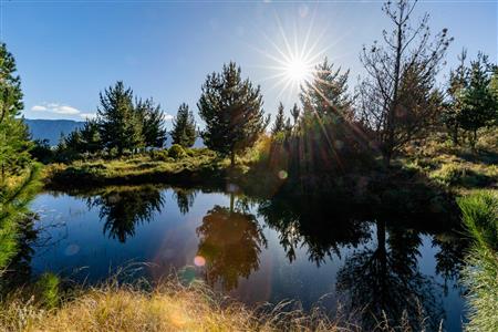 False - Vacant Land For Sale in Riversdale Rural, Riversdale, Western Cape - M121099