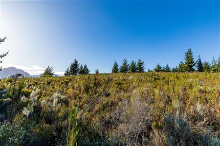 False - Vacant Land For Sale in Riversdale Rural, Riversdale, Western Cape - M121099