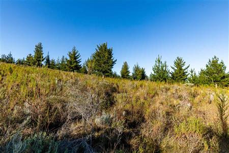 False - Vacant Land For Sale in Riversdale Rural, Riversdale, Western Cape - M121099