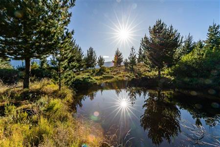 False - Vacant Land For Sale in Riversdale Rural, Riversdale, Western Cape - M121099