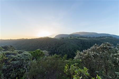 Vacant Land For Sale in Hoekwil, Wilderness, Western Cape - M127358