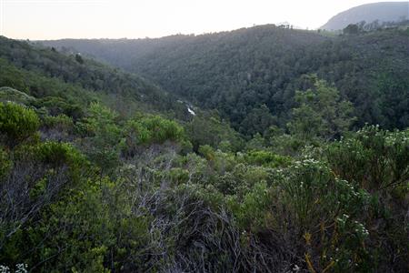 Vacant Land For Sale in Hoekwil, Wilderness, Western Cape - M127358