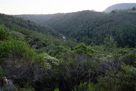 Vacant Land For Sale in Hoekwil, Wilderness, Western Cape - M127358