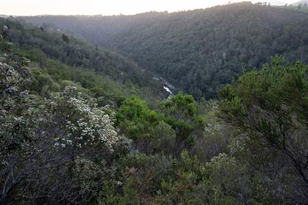 Vacant Land For Sale in Hoekwil, Wilderness, Western Cape - M127358