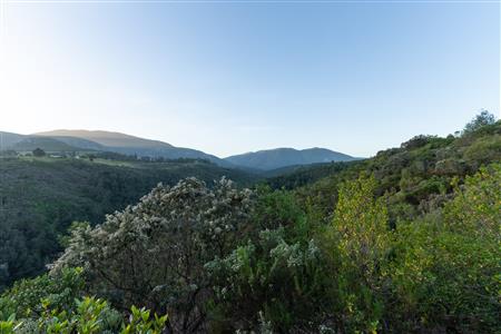 Vacant Land For Sale in Hoekwil, Wilderness, Western Cape - M127358