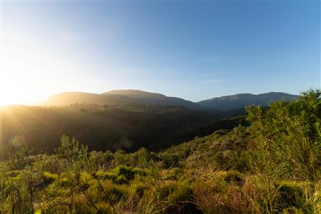 Vacant Land For Sale in Hoekwil, Wilderness, Western Cape - M127358