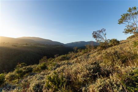 Vacant Land For Sale in Hoekwil, Wilderness, Western Cape - M127358