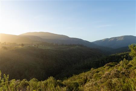 Vacant Land For Sale in Hoekwil, Wilderness, Western Cape - M127358