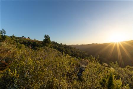 Vacant Land For Sale in Hoekwil, Wilderness, Western Cape - M127358