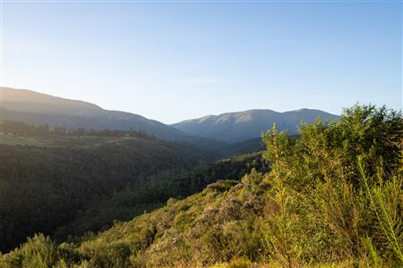 Vacant Land For Sale in Hoekwil, Wilderness, Western Cape - M127358