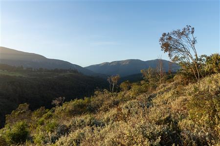 Vacant Land For Sale in Hoekwil, Wilderness, Western Cape - M127358