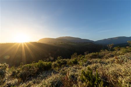 Vacant Land For Sale in Hoekwil, Wilderness, Western Cape - M127358
