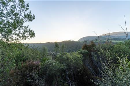 Vacant Land For Sale in Hoekwil, Wilderness, Western Cape - M127358