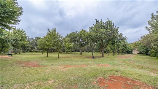 False - Farm For Sale in Olympus AH, Pretoria, Gauteng - M127372